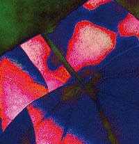 Image Image