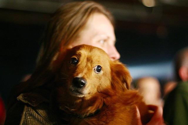 lucy_in_the_sky_11
