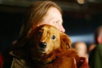 lucy_in_the_sky_11